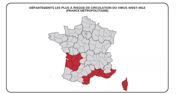 Carte des cas de West Nile en Île-de-France 2025